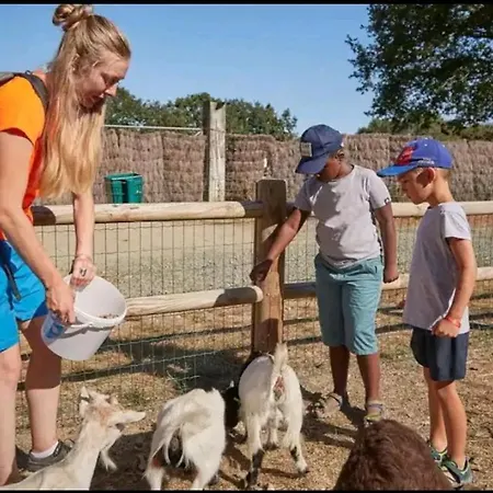 Mobil 6 Personnes 3 A 25 Min Puy Dufou